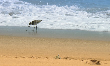 Wire 3 is halfway done with a fiber network in Titusville, Florida