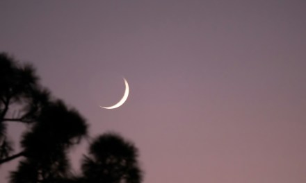 Wire 3 adds Port St. Lucie to their Florida fiber footprint