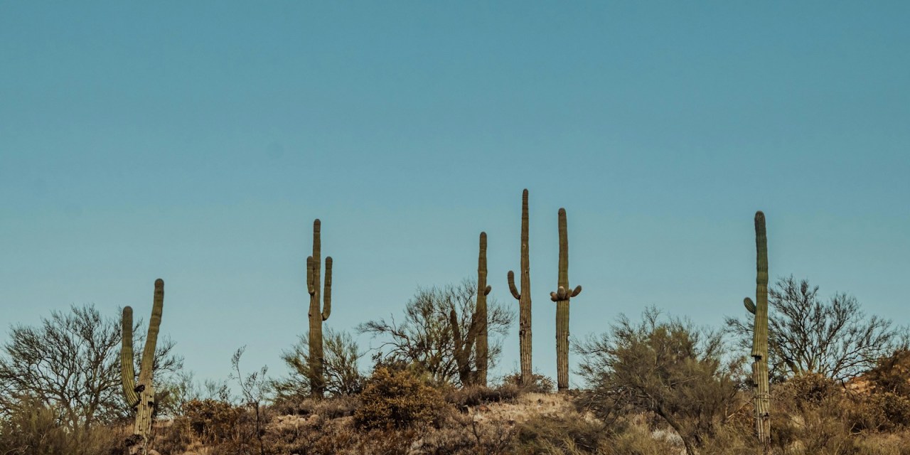 Orbitel upgrades internet speeds within their Arizona footprint