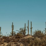 The free upgrades reflect Orbitel’s continued commitment to delivering greater value, the Arizona-based internet service provider announced.