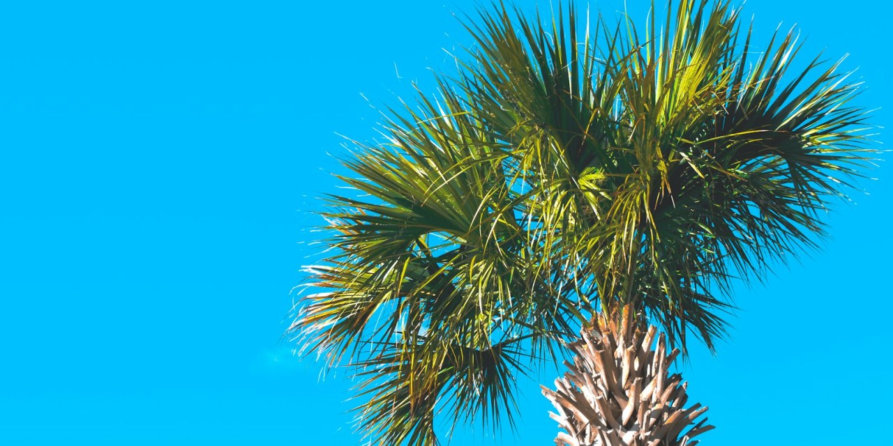 Home Telecom rolls out 5 Gbps in Daniel Island, South Carolina