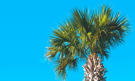 Home Telecom rolls out 5 Gbps in Daniel Island, South Carolina