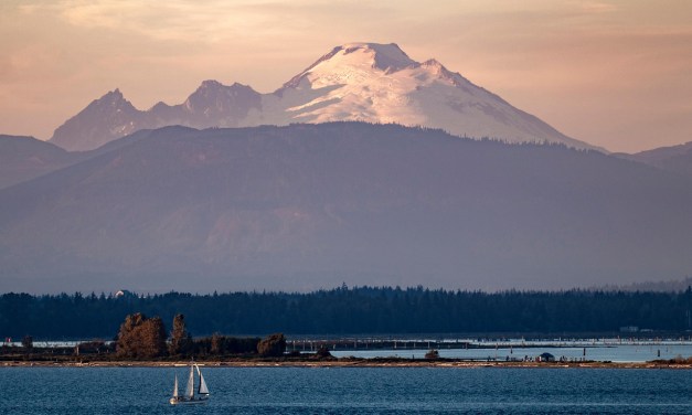 Ripple Fiber unveils plan to grow Washington footprint