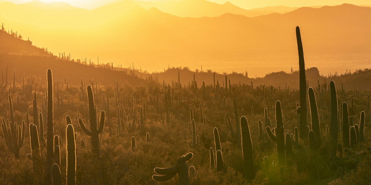 Wecom Fiber collects largest BEAD award in Arizona