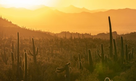 Wecom Fiber collects largest BEAD award in Arizona