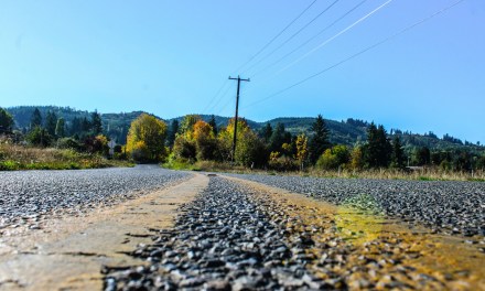 What were fiber’s 2025 gains? Will we see 2026 acceleration?