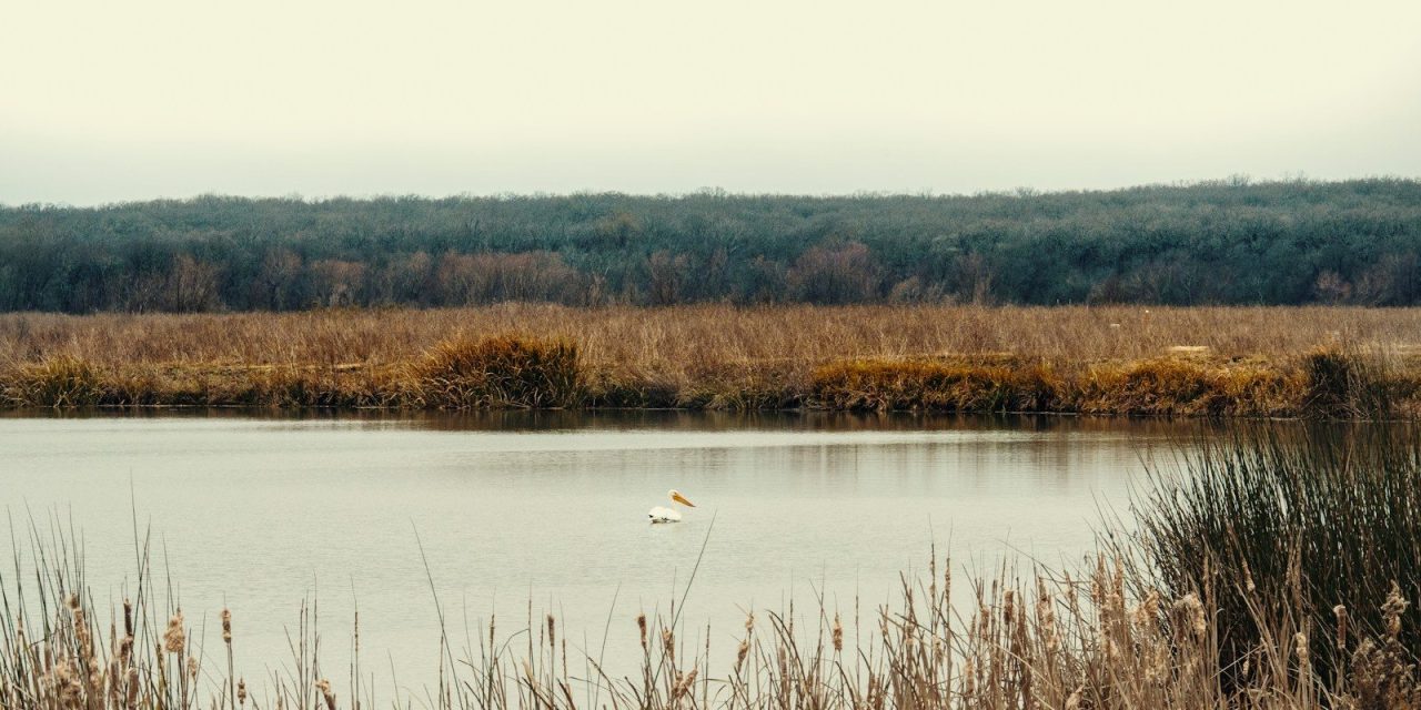 RightFiber announces North Texas expansion, starts in Seagoville