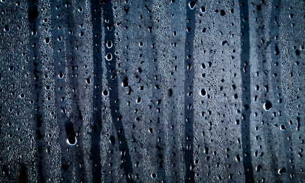 TempGenius advances wireless monitoring of humidity, temperature