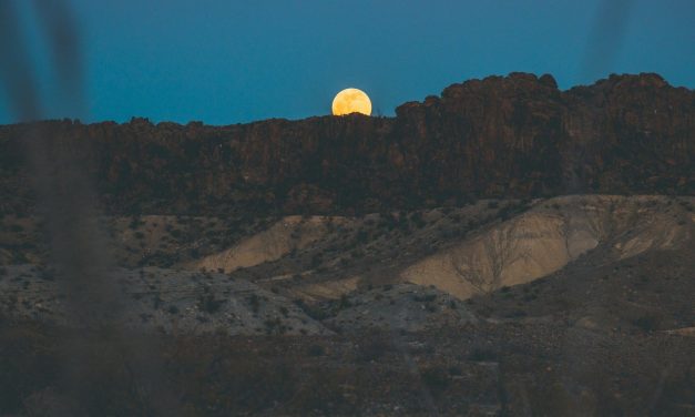 Report predicts Texas will usurp Virginia as top hub for data centers