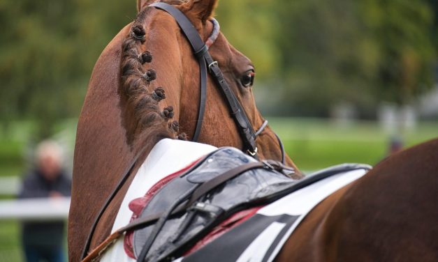 Truvista Fiber expands connectivity offerings at the Carolina Cup