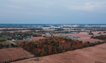 Surf Internet closes $407m asset-backed securitization