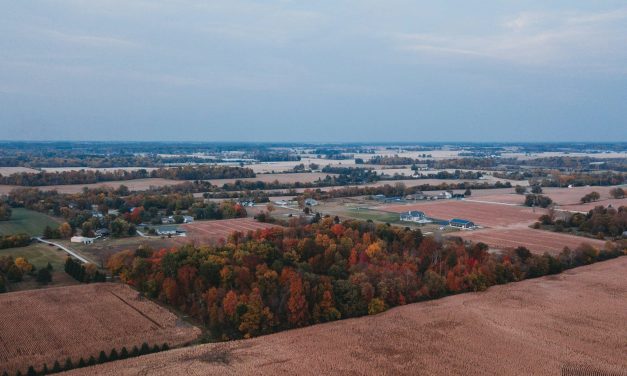 Surf Internet closes $407m asset-backed securitization