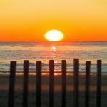 brown wooden fence on beach during sunset