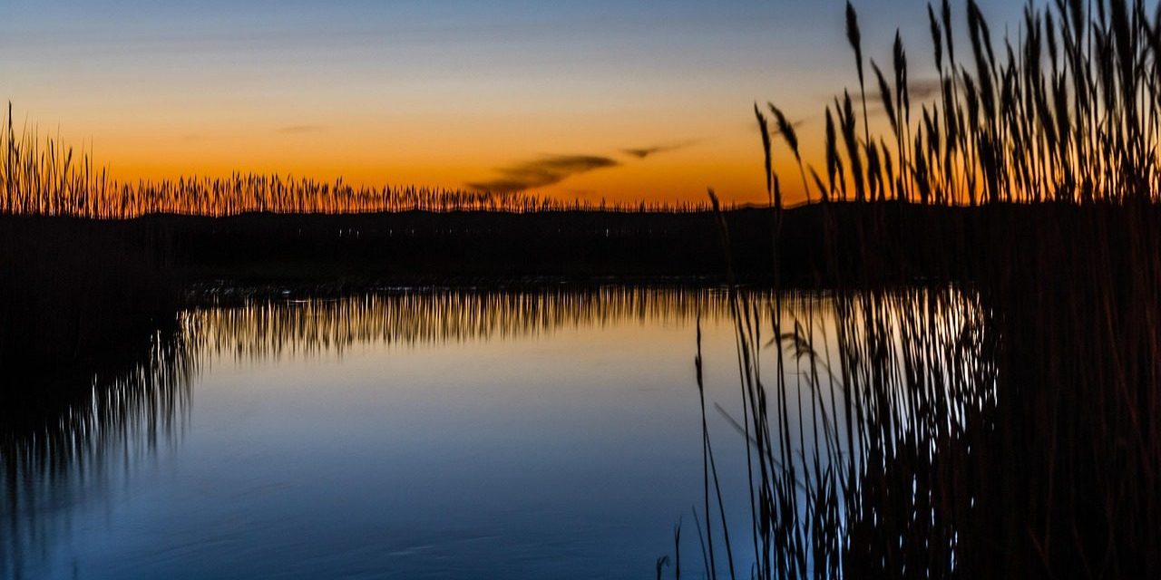 C Spire connects 14k homes, finishes CPF work in Mississsippi