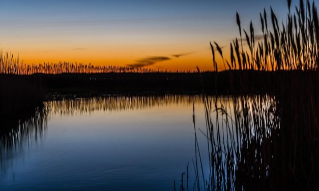 C Spire connects 14k homes, finishes CPF work in Mississsippi