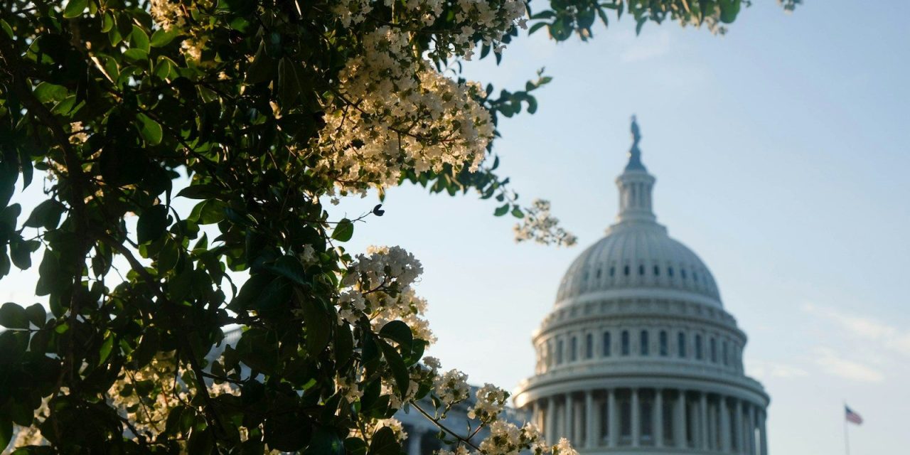 Bill Burhop’s legacy of advocacy for broadband’s “little guy”