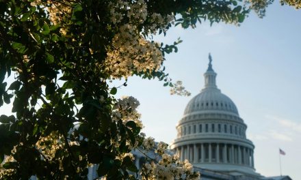 Bill Burhop’s legacy of advocacy for broadband’s “little guy”