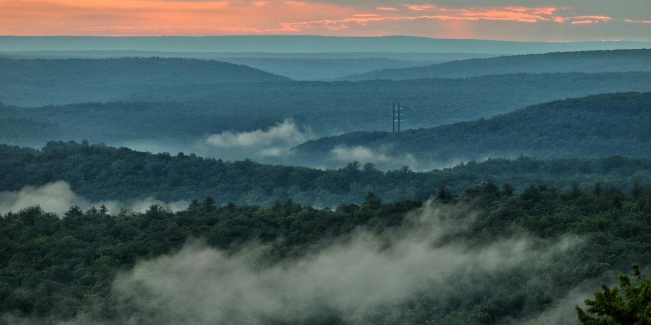 Sertex takes aim at digital gaps in some Western Mass. towns