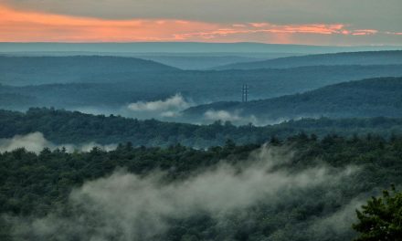 Sertex takes aim at digital gaps in some Western Mass. towns