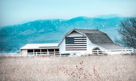 USDA seeks to cut ReConnect rural broadband grant program