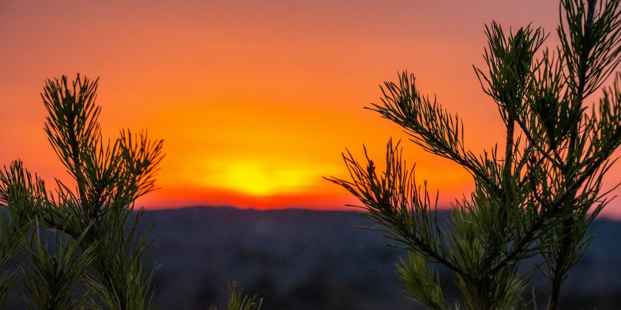 Truvista Fiber will take over a municipal network in North Georgia