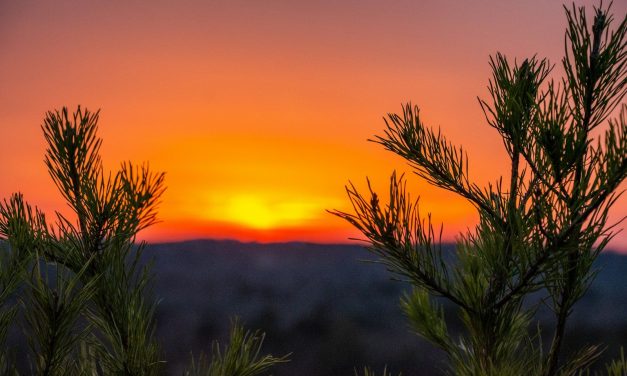 Truvista Fiber will take over a municipal network in North Georgia