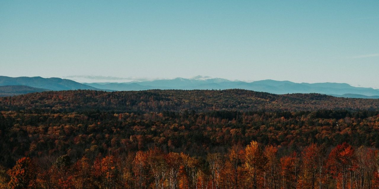 Sertex opens regional office in Maine to assist statewide effort