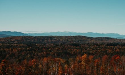 Sertex opens regional office in Maine to assist statewide effort