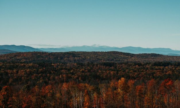 Sertex opens regional office in Maine to assist statewide effort