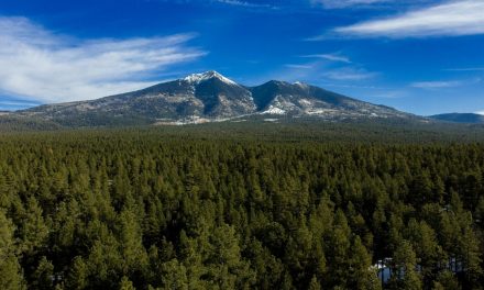 Why Flagstaff’s public-private partnership is a model of success