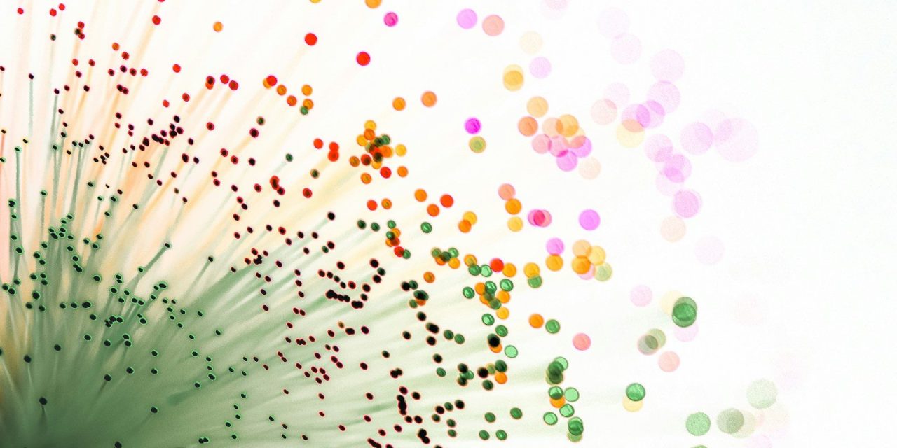 Vero Fiber completes acquisition of TEC