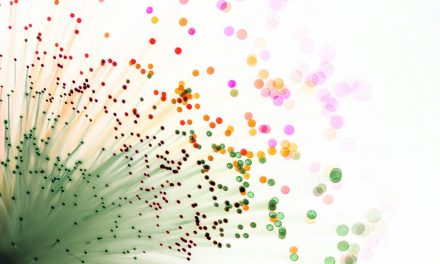 Vero Fiber completes acquisition of TEC