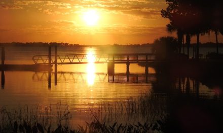 Wire 3 hooks up Mount Dora to their Florida fiber network