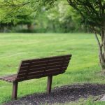 brown wooden bench on green grass field during daytime