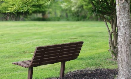 Sitting out BEAD? Why NOVOS FiBER’s CTO has no regrets