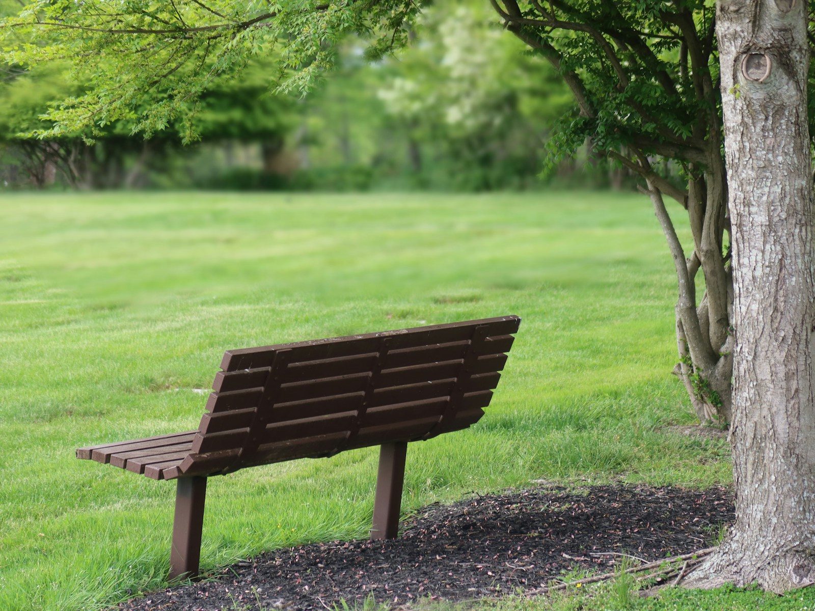 Sitting out BEAD? Why NOVOS FiBER's CTO has no regrets