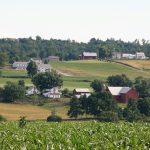 a farm with many buildings