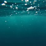 photo of underwater