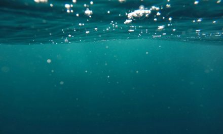 FCC seeks to streamline submarine cable permitting process
