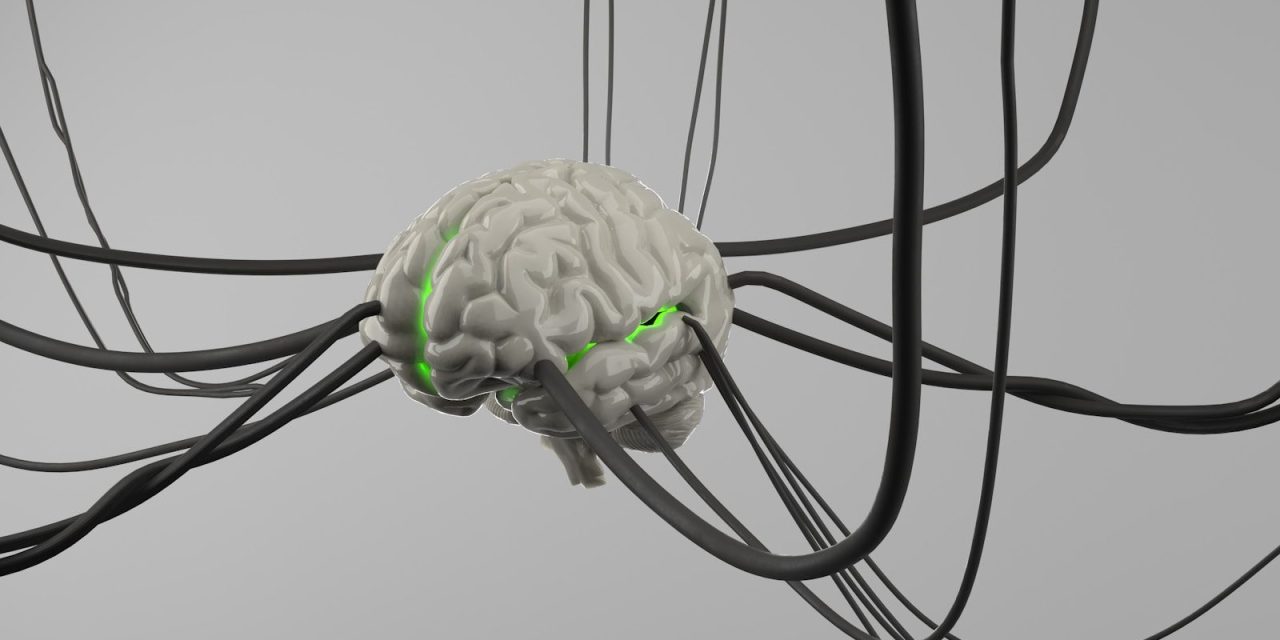 We’re moving into a thinking economy: What it means for fiber
