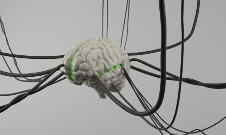 We’re moving into a thinking economy: What it means for fiber