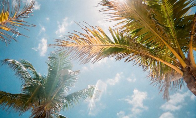 ISP Roundup: WOW! plans to grow their Florida fiber footprint