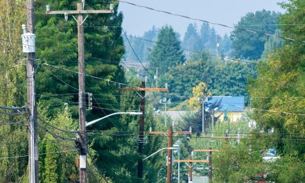 Will state pole rules impact BEAD? FCC presses states for clarity