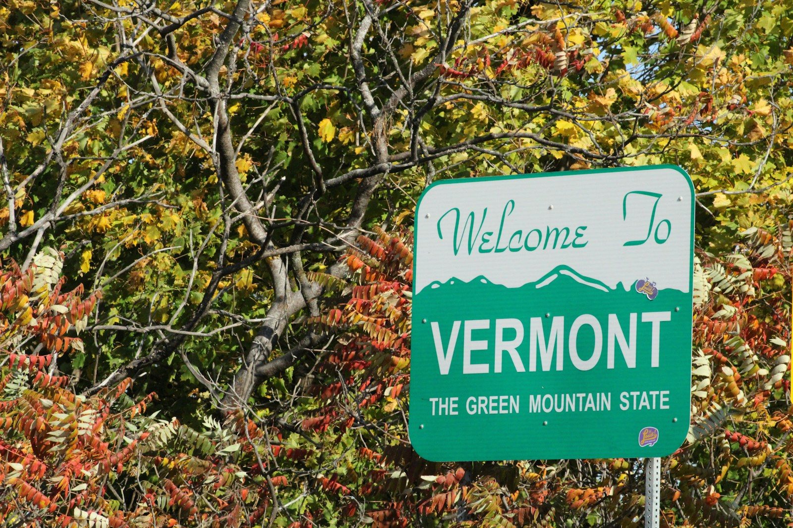a sign in front of a tree
