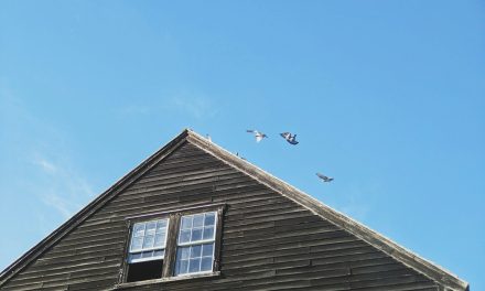 ISP Roundup: GoNetspeed to build fiber network in Salem, Mass.