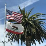 USA flag near tree