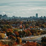 aerial photography of trees and buildings in the city