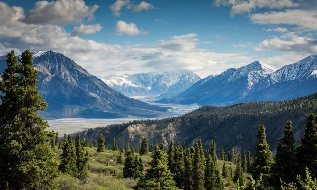 Vero Fiber and MontanaSky plan to unite their orgs