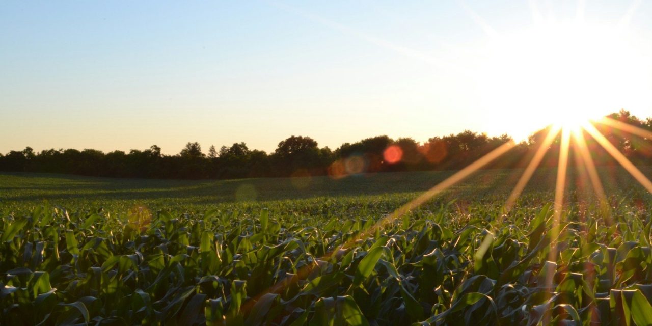 Agricultural swarm robotics market to reach $2.68 billion by 2033