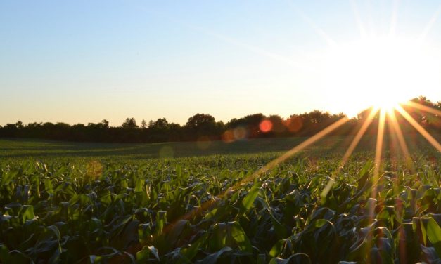 Agricultural swarm robotics market to reach $2.68 billion by 2033